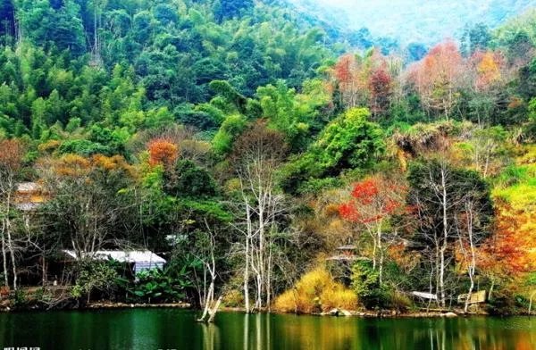 野趣沟风景区的野趣沟简介