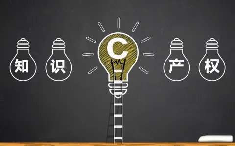 什么是政治权利和自由