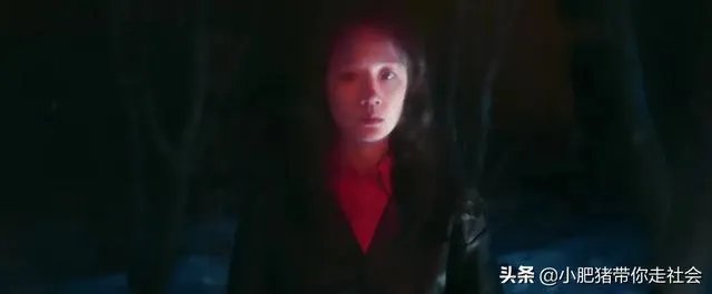 如何解读毛不易《水乡》MV？