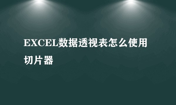 EXCEL数据透视表怎么使用切片器