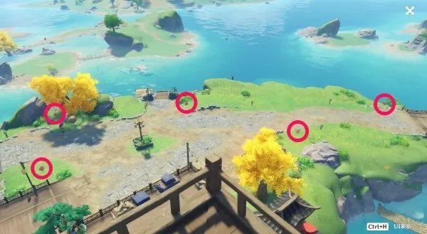 《原神》霓裳花位置及获取方法 3.4霓裳花收集路线