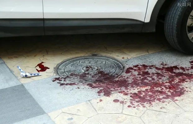 中国留学生撞人母亲200万美元保释 我爸是徐兆宏