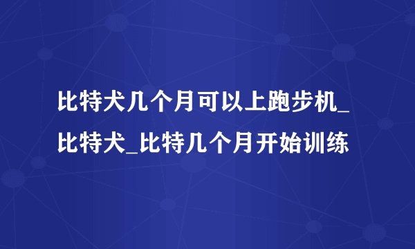 比特犬几个月可以上跑步机_比特犬_比特几个月开始训练