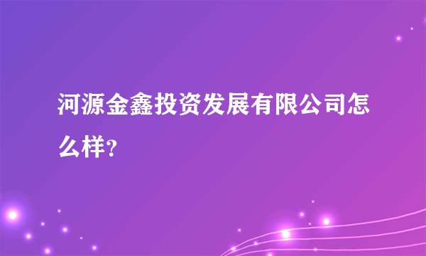 河源金鑫投资发展有限公司怎么样？