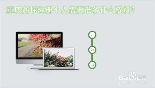 个人怎么进行重庆商标注册