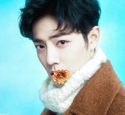 肖战最近这几年为什么这么火，是为什么火起来的？