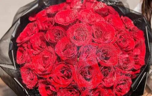 39朵玫瑰花花语代表什么意思 玫瑰花送几朵代表什么