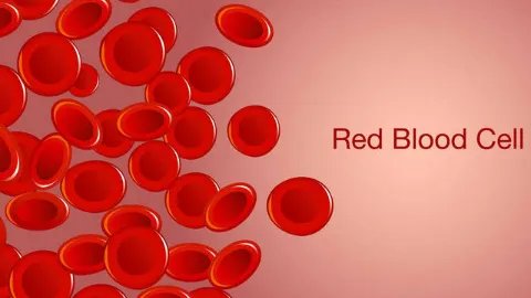 胆固醇高怎么办