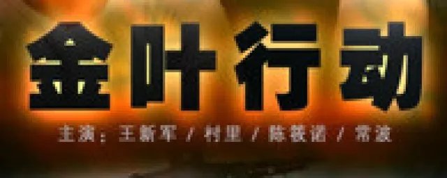 电视剧金叶行动一共多少集 讲述了什么内容呢