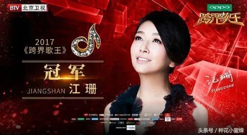 有哪些唱功很好的跨界歌手？