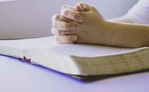 which从句的用法总结