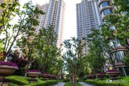 教八哥说话的一些技巧？