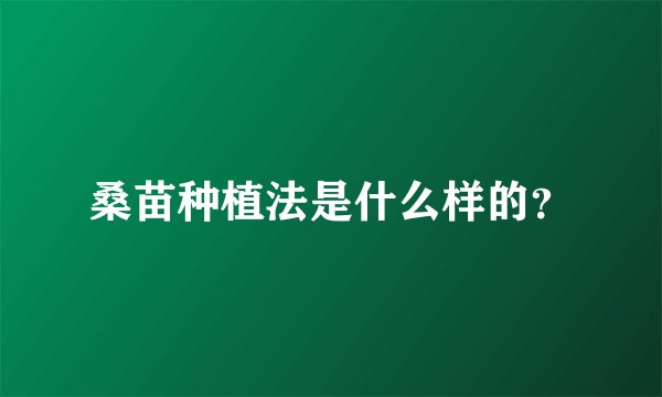 桑苗种植法是什么样的？