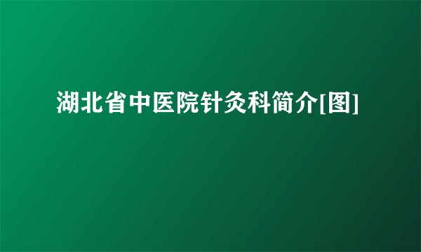 湖北省中医院针灸科简介[图]