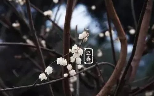 今年什么时候立春