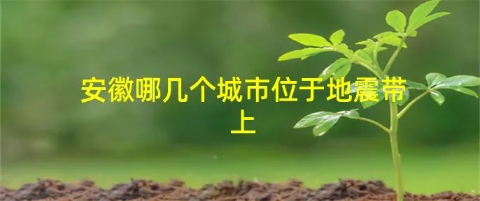 安徽哪几个城市位于地震带上