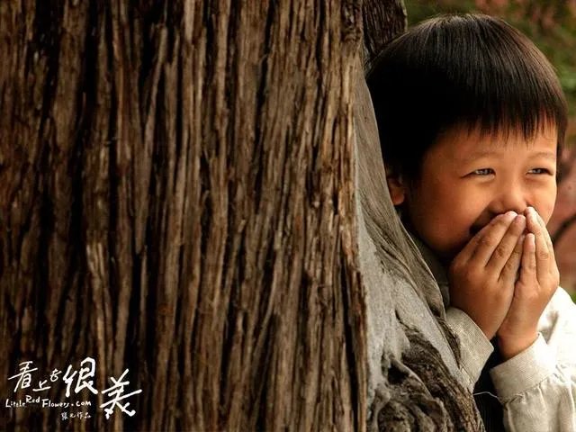 你认为哪些国产电影是比较经典的？