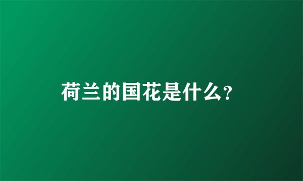 荷兰的国花是什么？