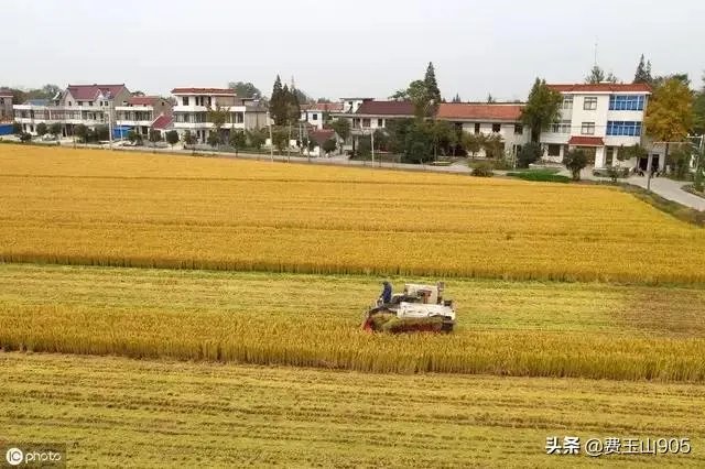 未来我国农机化发展趋势是怎样的？