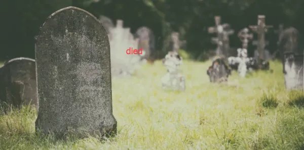 died和dead有什么区别