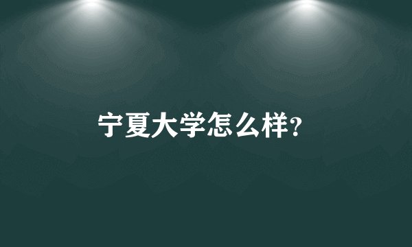 宁夏大学怎么样？