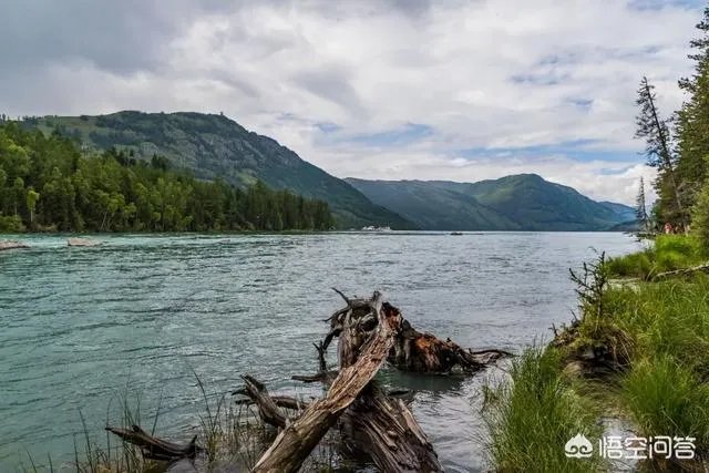 喀纳斯的风景如何?