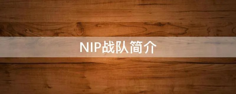 NIP战队简介