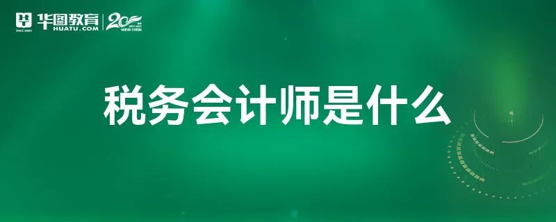 税务会计师是什么