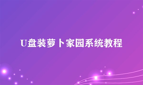 U盘装萝卜家园系统教程