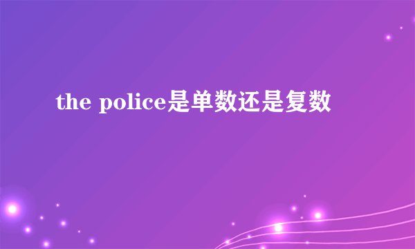 the police是单数还是复数