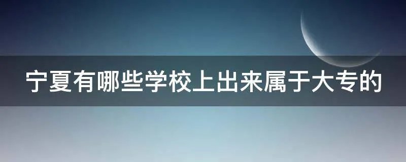 宁夏有哪些学校上出来属于大专的
