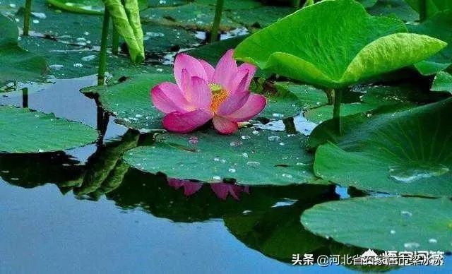 您读过的古书都有哪些,哪一本古书对您影响最深,为什么?