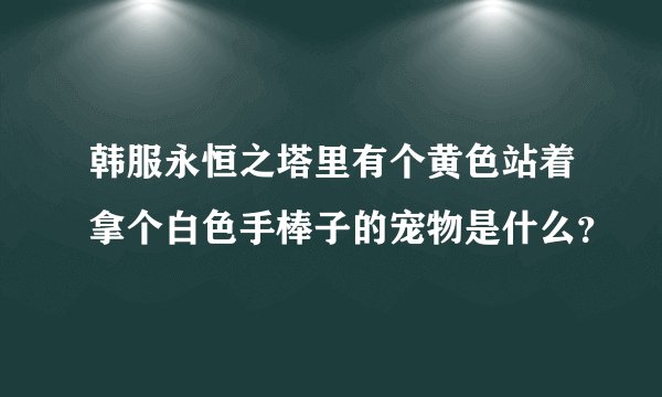 韩服永恒之塔里有个黄色站着拿个白色手棒子的宠物是什么？
