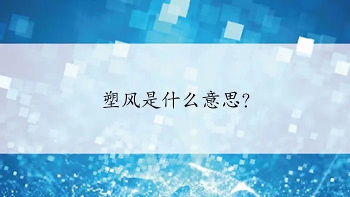 塑风是什么意思？