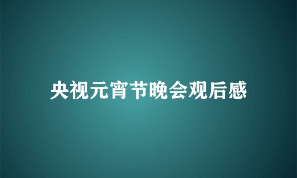 央视元宵节晚会观后感