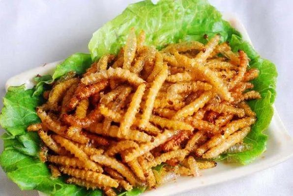 竹虫有什么功效？