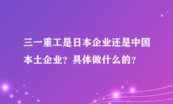 三一重工是日本企业还是中国本土企业？具体做什么的？
