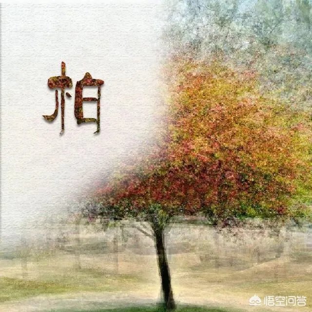 有哪些比较唯美带文字的头像可以分享？