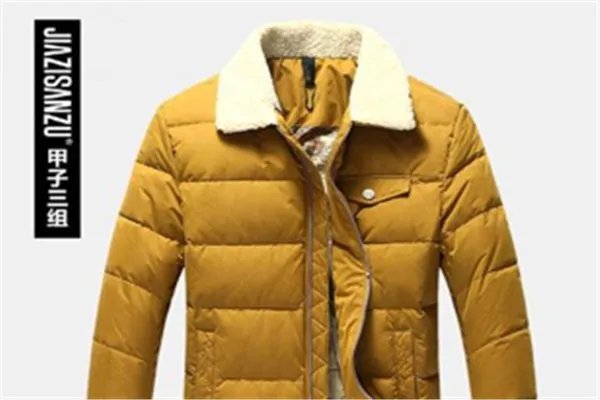 甲子三组是什么牌子