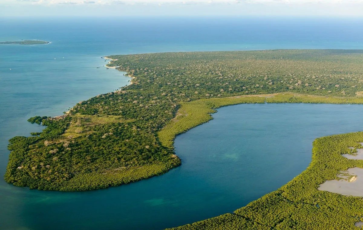 莫桑比克汽车失控撞向人群伤亡情况如何？