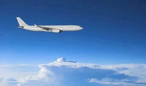 土总统为什么要称荷兰政府是纳粹余孽？