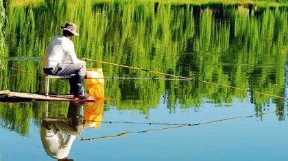 钓鱼有哪些技巧