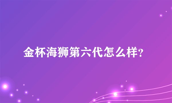 金杯海狮第六代怎么样？