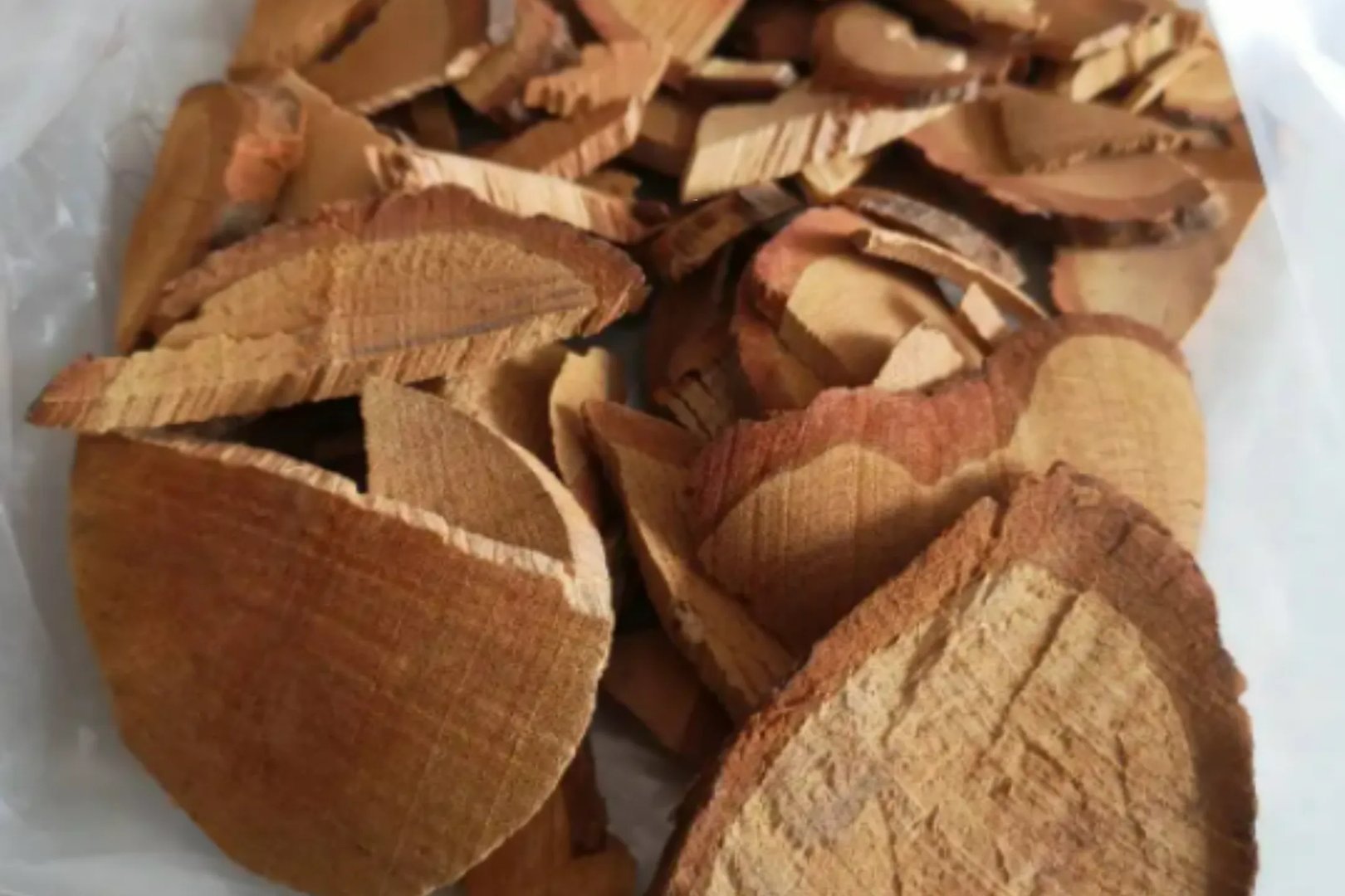 钩藤根药用功效与作用图片