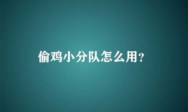 偷鸡小分队怎么用？