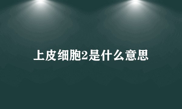 上皮细胞2是什么意思