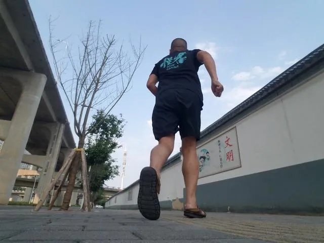 腾讯体育 新浪体育