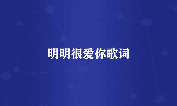 明明很爱你歌词