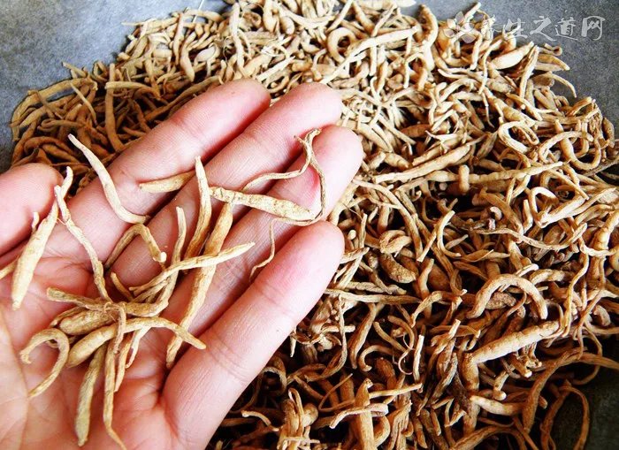 毛铺苦荞酒有几种系列，金/黑/紫/玉四大系列主打中高端(价格表)