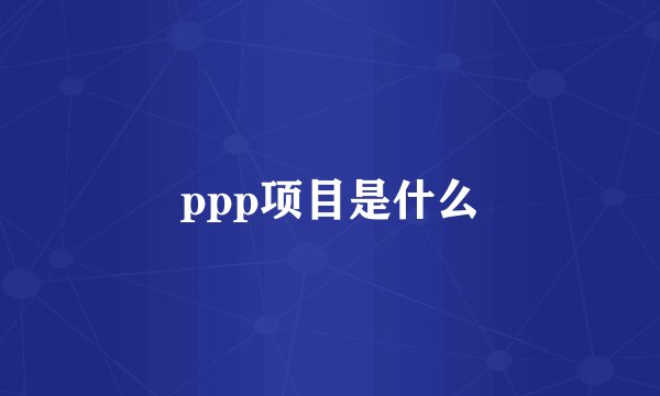 ppp项目是什么